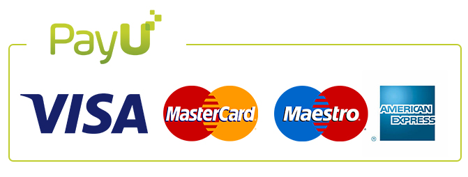 Ecommerce Logo png download - 1000*500 - Free Transparent Payment png  Download. - CleanPNG / KissPNG